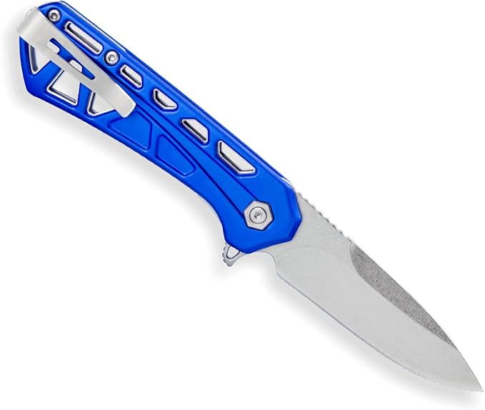 Buck Knives Mini Trace Pocket Knife, Blue