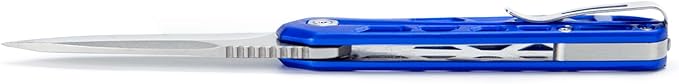 Buck Knives Mini Trace Pocket Knife, Blue