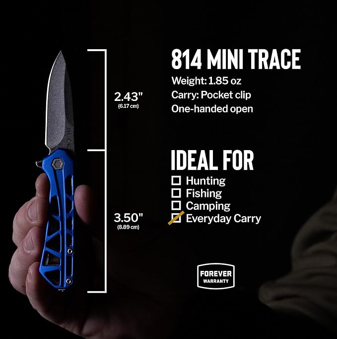 Buck Knives Mini Trace Pocket Knife, Blue