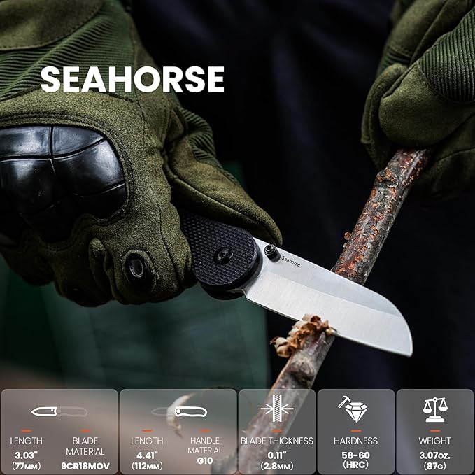 Kizer Seahorse Pocket Knife, 3.03 Inches Folding Knife with 9Cr18MoV Steel Blade, Black G10 Survival Hunting Knife with Thumb Stud Opener, EDC Tactical Knife L3009A1