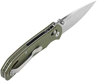Ganzo G7531 Folding Pocket Knife High 440C Stainless Steel Blade G10 Handle with Clip Hunting Fishing Camping Outdoor EDC Knife (Green)