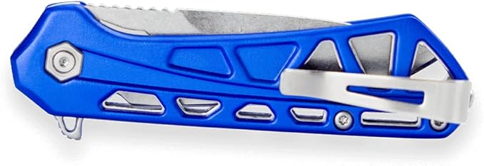 Buck Knives Mini Trace Pocket Knife, Blue