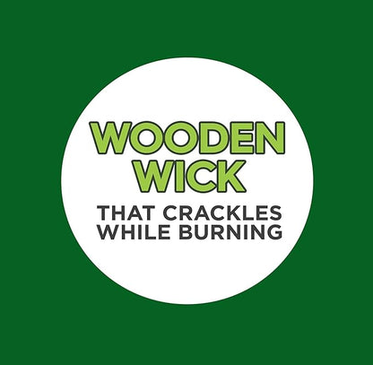 Coleman Scented Outdoor Citronella Candle with Wooden Crackle Wick - 6 oz (Pack of 6)