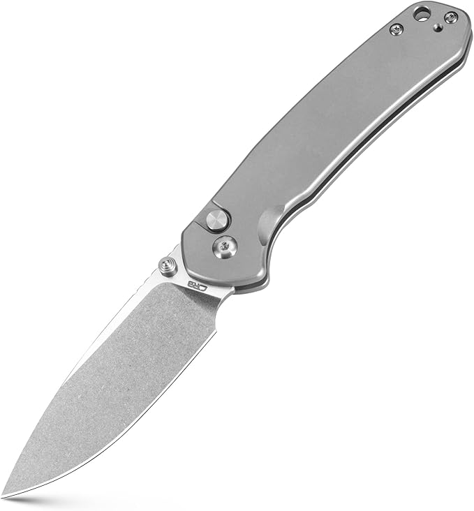 CJRB CUTLERY Pocket Knife Pyrite (J1925) Button Lock EDC Small Foldable Knife AR-RPM9 Steel Blade and Titanium Handle Silver Outdoor for Men Women for Gifts