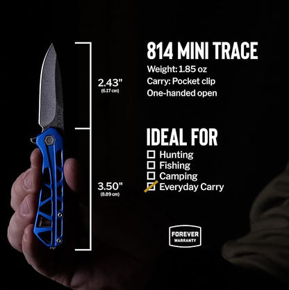 Buck Knives Mini Trace Pocket Knife, Blue