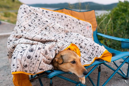 Kelty Biggie Blanket, 2 Person Large Insulated Camping Indoor Outdoor Travel Blanket and Ground Picnic Covering, Updated for 2022