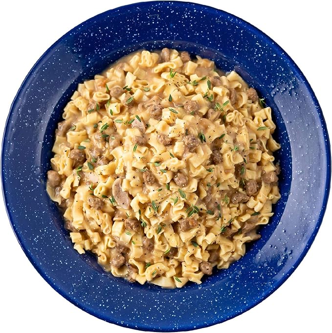 Mountain House Beef Stroganoff with Noodles | Freeze Dried Backpacking & Camping Food | 2 Servings