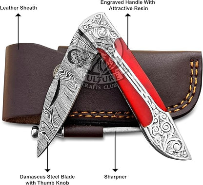 3Pcs Damascus Steel Pocket Knife with Clip and Leather Sheath - EDC Knife for Outdoor and Camping Activities, Handmade Folding Knife, Free knife Sharpner (Vulture Red Eye)